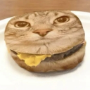 Hideout - discord server icon