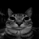 Hideout - discord server icon