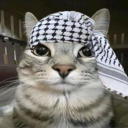 Hideout - discord server icon