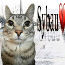 Hideout - discord server icon