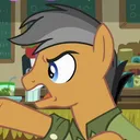 Pony Canon Research Society