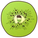 Kiwi Co.
