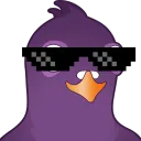 Pidgin