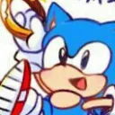 Sonic Fans