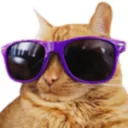 Grumps CoolCats