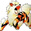 Arcanine Squad's Den