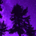 LSpace