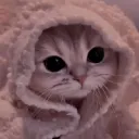 🐾 Neko Paradise 🐾