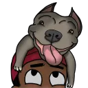 DAWGPOUND