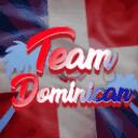 r/Team Dominican Discord Server Icon