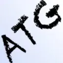 Addiction To Gaming