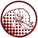 Crimson Sea Discord Server Icon