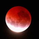 The Eclipsed
