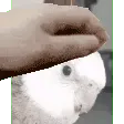 NeverForget_Tv