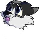 Balto Husky's Server