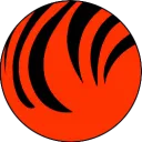 Bengals Fan Chat