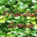 My Friends Group