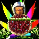 PillsnPie Gaming