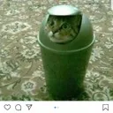 a dead chat v 2.0