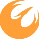 The Phoenix Squadron