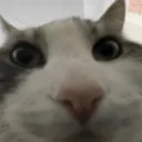 𝚄𝚗𝚒𝚟𝚎𝚛𝚜𝚎
