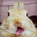 Awesomesauce