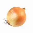 The Great Nation Of Onion