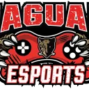 Jaguar Esports