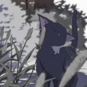 * ˚ ✦𝙲𝚊𝚝 𝚃𝚊𝚟𝚎𝚛𝚗 ✦˚ *