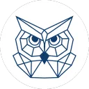 Streamer Nexus