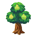 Pears Tree House
