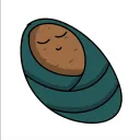 The Cozy Potato Farm