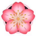 Hanami Discord Server Icon