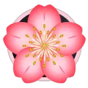 Hanami Discord Server Icon