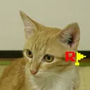 reppu_games