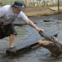 gatorwrestler303