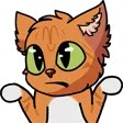 Kat_C