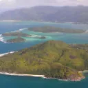 Joey's Island