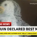 Pengune hap plese