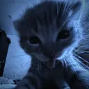 blur Discord Server Icon