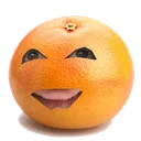 PampNation