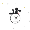 IX Gaming