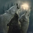 The Wolf Den