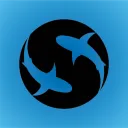 Spotted Shark Studio