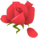 Rose Petal