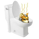 Melee Shitters