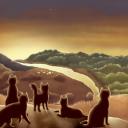Warrior Clan Cats