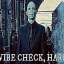 vibe check harry