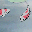 The Koi Pond