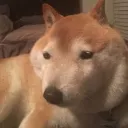 なんJ PCゲーム部